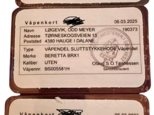 Waffenschein mit §34a Absicherung