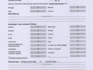 Realschulabschluss / Mittlere Reife / Mittlerer Schulabschluss