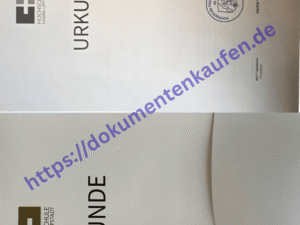 Hochschule Hamm-Lippstadt urkunde