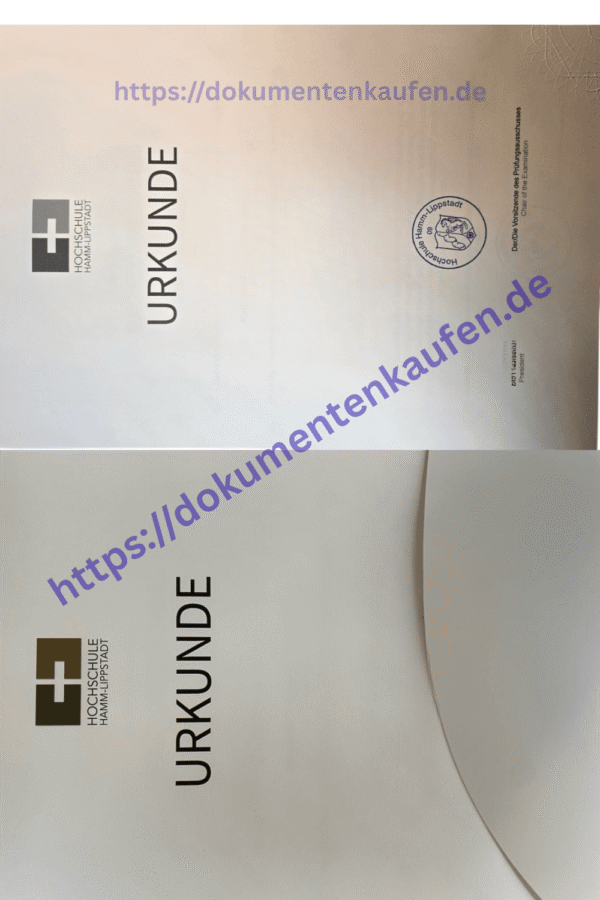 Hochschule Hamm-Lippstadt urkunde